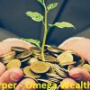 Talmadge Harper - Omega Wealth Program 3.0