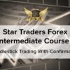 Karen Foo – Star Traders Forex Intermediate Course 1