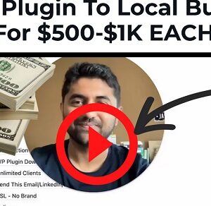 sell-this-plugin-to-local-businesses-for-500-1k-each