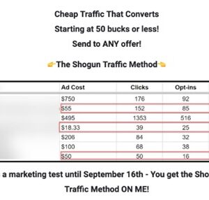 travis-sago-the-shogun-traffic-method